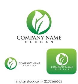 Logos of green Tree leaf ecology nature element vector