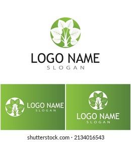 Logos of green Tree leaf ecology nature element vector