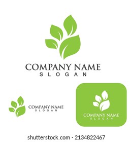 Logos of green Tree leaf ecology