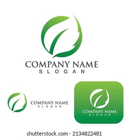 Logos of green Tree leaf ecology