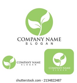 Logos of green Tree leaf ecology