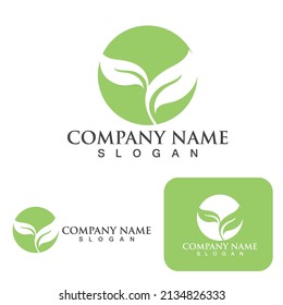 Logotipos de ecología de hojas de árbol verde