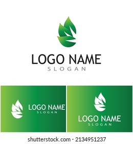 Logos of green Tree leaf ecology nature element vector