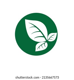 Logotipos de ecología de hoja de árbol verde elemento de naturaleza vector