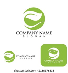 Logos of green Tree leaf ecology nature element vector