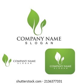 Logos of green Tree leaf ecology nature element vector