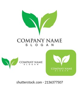 Logotipos de ecología de hoja de árbol verde elemento de naturaleza vector