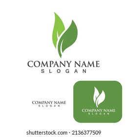Logos of green Tree leaf ecology nature element vector