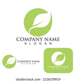 Logos of green Tree leaf ecology nature element vector