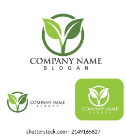 Logotipos de ecología de hoja de árbol verde elemento de naturaleza vector