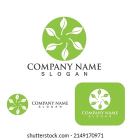 Logos of green Tree leaf ecology nature element vector