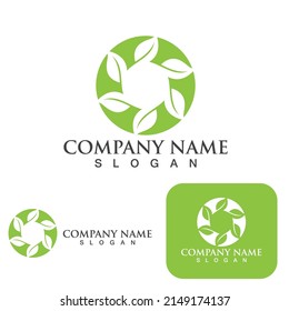 Logos of green Tree leaf ecology nature element vector
