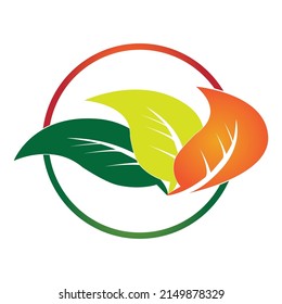Logos of green Tree leaf ecology nature element vector