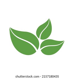 Logotipos de ecología de hoja de árbol verde elemento de naturaleza vector