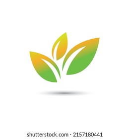 Logos of green Tree leaf ecology nature element vector