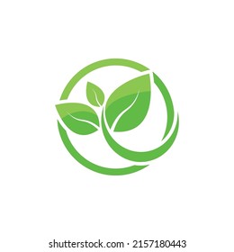 Logos of green Tree leaf ecology nature element vector