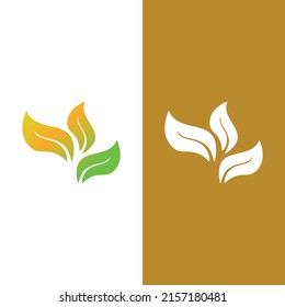 Logos of green Tree leaf ecology nature element vector