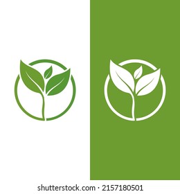 Logos of green Tree leaf ecology nature element vector