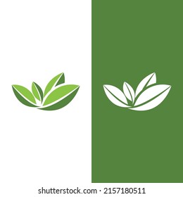 Logos of green Tree leaf ecology nature element vector
