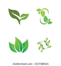 Logos of green Tree leaf ecology nature element vector