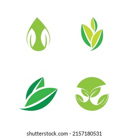 Logos of green Tree leaf ecology nature element vector