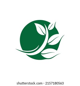 Logos of green Tree leaf ecology nature element vector