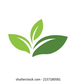Logos of green Tree leaf ecology nature element vector
