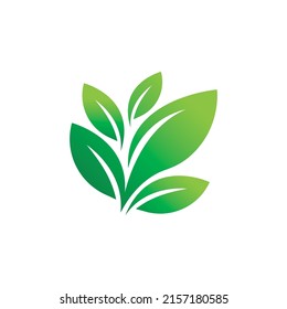 Logos of green Tree leaf ecology nature element vector