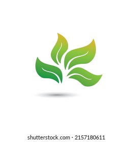 Logos of green Tree leaf ecology nature element vector