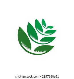 Logos of green Tree leaf ecology nature element vector
