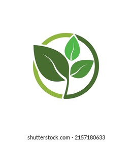 Logotipos de ecología de hoja de árbol verde elemento de naturaleza vector