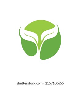 Logos of green Tree leaf ecology nature element vector