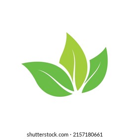 Logos of green Tree leaf ecology nature element vector
