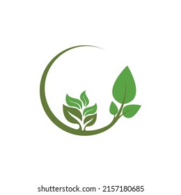 Logos of green Tree leaf ecology nature element vector