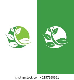 Logos of green Tree leaf ecology nature element vector