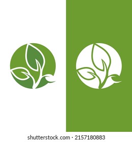 Logos of green Tree leaf ecology nature element vector