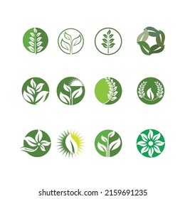 Logos of green Tree leaf ecology nature element vector