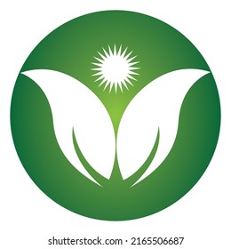 Logos of green Tree leaf ecology nature element vector