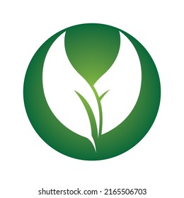 Logos of green Tree leaf ecology nature element vector