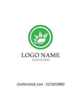 Logos of green Tree leaf ecology nature element vector