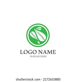 Logos of green Tree leaf ecology nature element vector