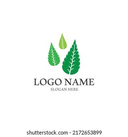 Logos of green Tree leaf ecology nature element vector