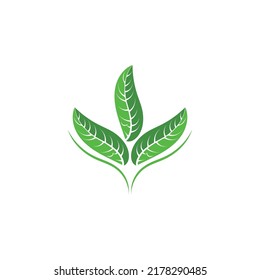 Logotipos de ecología de hoja de árbol verde elemento de naturaleza vector