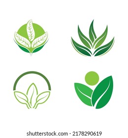 Logos of green tree leaf ecology nature element vector