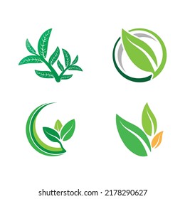 Logotipos de ecología de hoja de árbol verde elemento de naturaleza vector