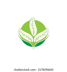 Logos of green tree leaf ecology nature element vector