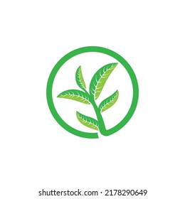 Logotipos de ecología de hoja de árbol verde elemento de naturaleza vector