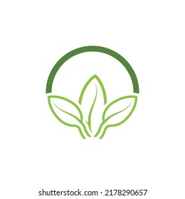 Logos of green tree leaf ecology nature element vector