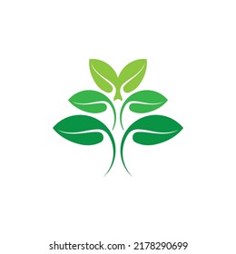 Logos of green tree leaf ecology nature element vector