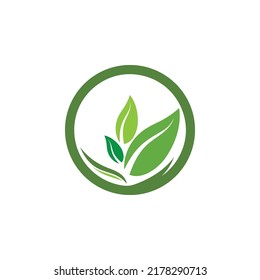 Logos of green tree leaf ecology nature element vector